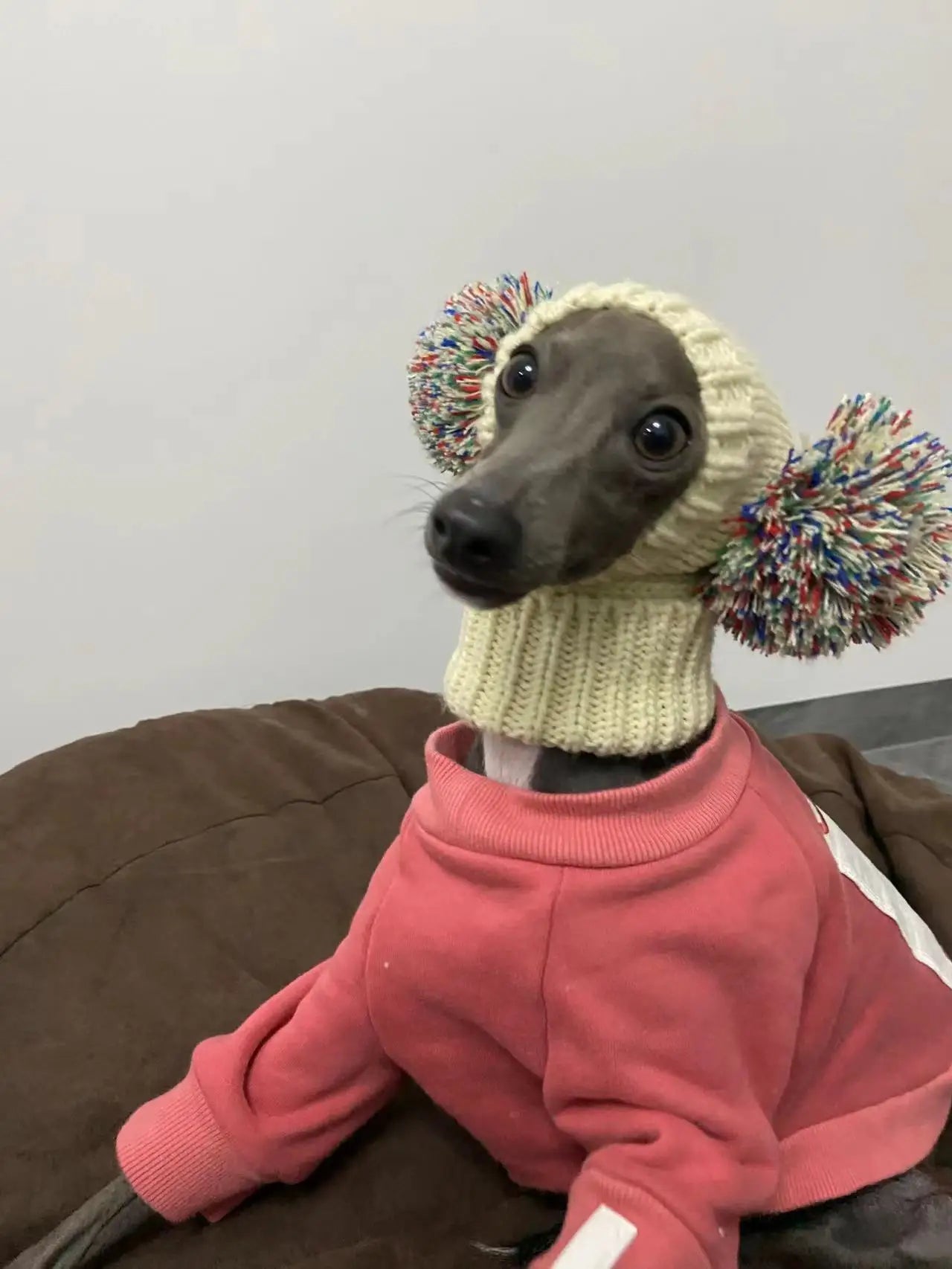 Italian Greyhound Hat, Whippet Hat, Wool Winter Hat with Wool Ball, Warm and CuteAzizaK