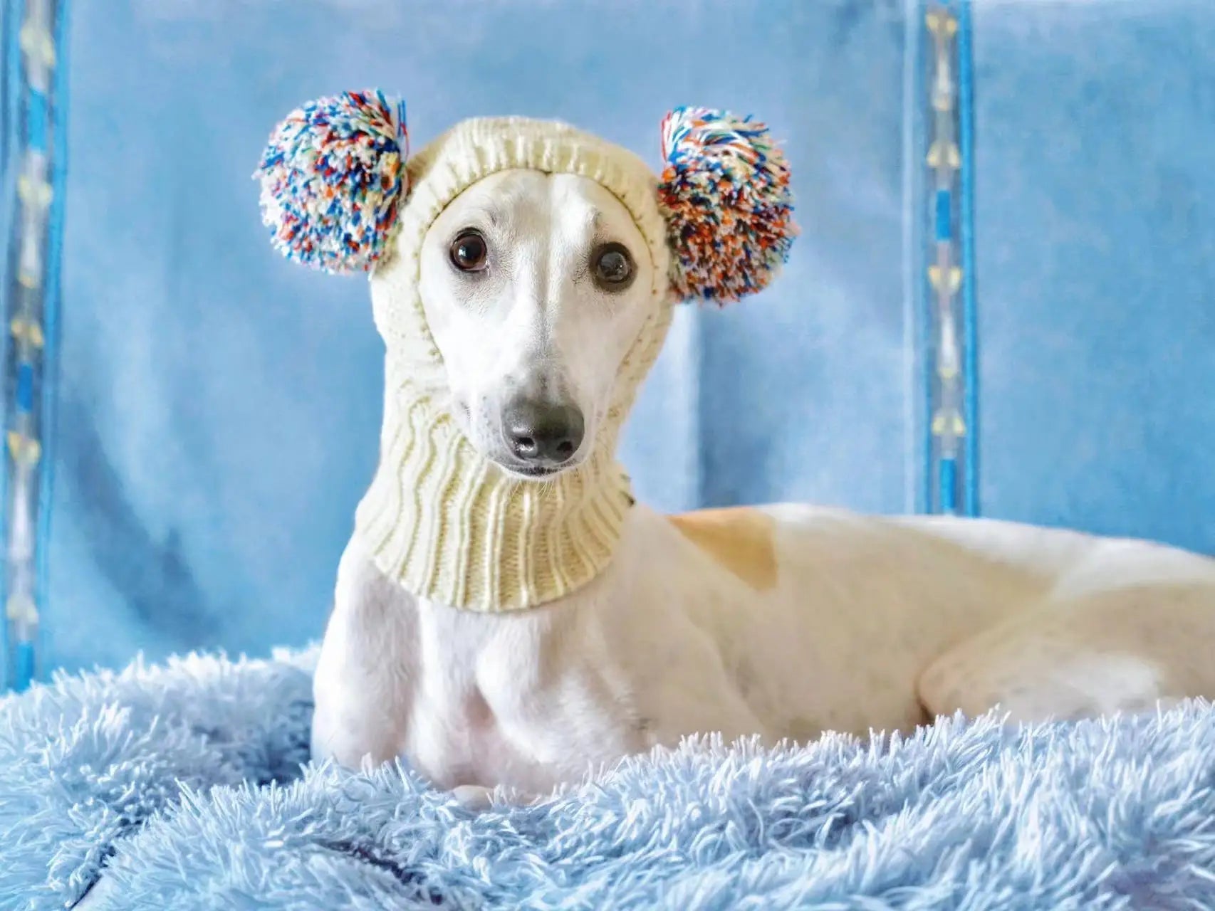 Italian Greyhound Hat, Whippet Hat, Wool Winter Hat with Wool Ball, Warm and CuteAzizaK