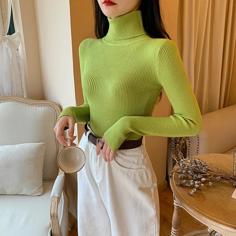 Long sleeve turtleneck knitted sweaterAzizaK