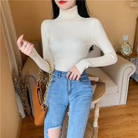 Long sleeve turtleneck knitted sweaterAzizaK