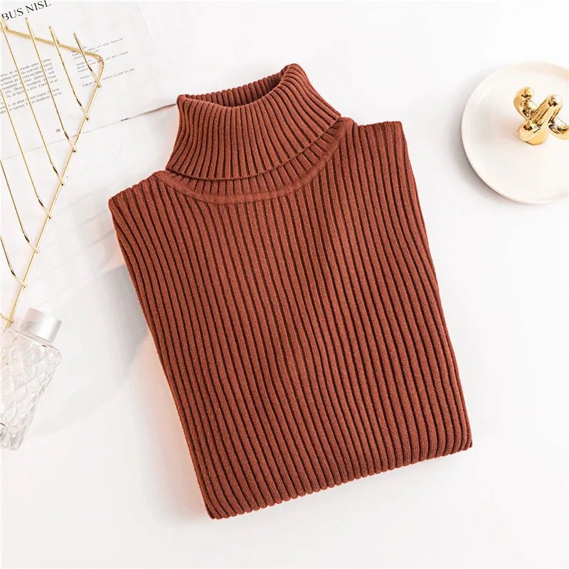 Long sleeve turtleneck knitted sweaterAzizaK