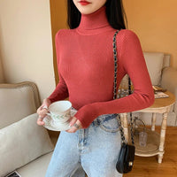 Long sleeve turtleneck knitted sweaterAzizaK