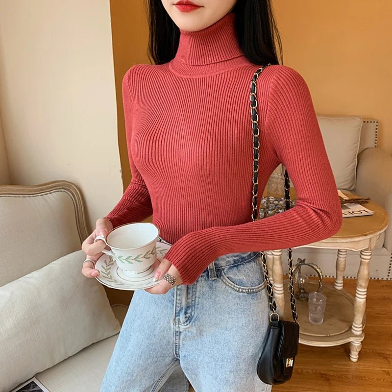 Long sleeve turtleneck knitted sweaterAzizaK