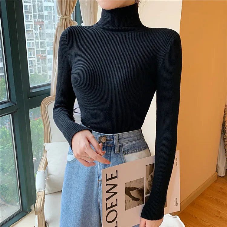 Long sleeve turtleneck knitted sweaterAzizaK