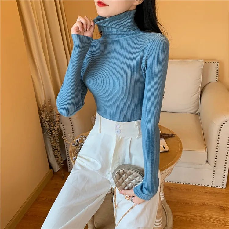 Long sleeve turtleneck knitted sweaterAzizaK