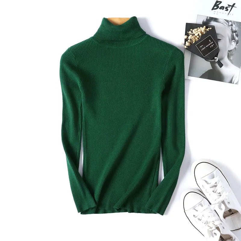 Long sleeve turtleneck knitted sweaterAzizaK