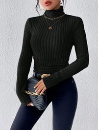 Long Sleeve Turtleneck SweaterAzizaK