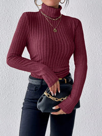 Long Sleeve Turtleneck SweaterAzizaK