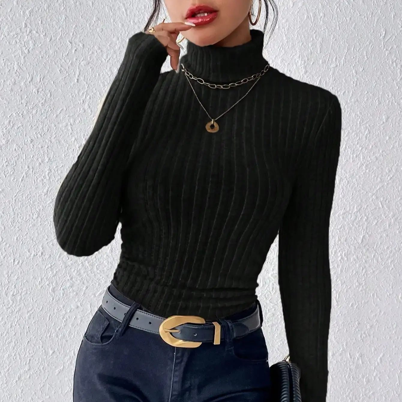 Long Sleeve Turtleneck SweaterAzizaK