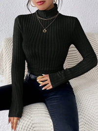 Long Sleeve Turtleneck SweaterAzizaK