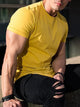 Muscle Fit Workout T-Shirt – High - Quality Cotton Athleisure TeeAzizaK