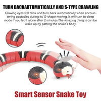 Rechargeable Smart Sensor Snake Pet Toys Automatically Detect Obstacles and Escape Kids Gift ToysAzizaK