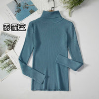 Simple turtleneck sweaterAzizaK