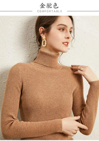Simple turtleneck sweaterAzizaK