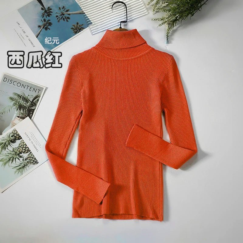 Simple turtleneck sweaterAzizaK