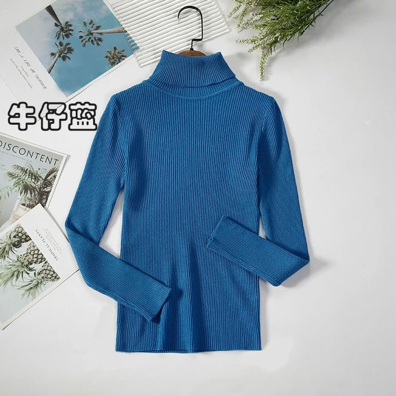 Simple turtleneck sweaterAzizaK