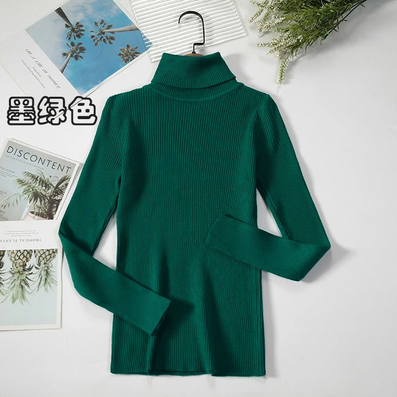 Simple turtleneck sweaterAzizaK