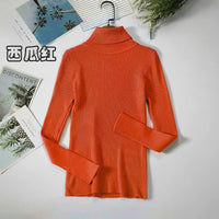 Simple turtleneck sweaterAzizaK