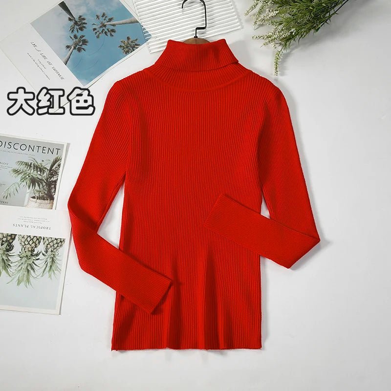 Simple turtleneck sweaterAzizaK
