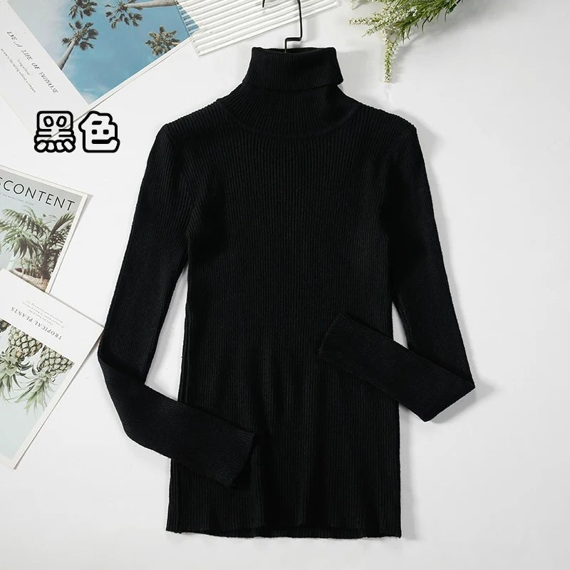 Simple turtleneck sweaterAzizaK
