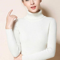 Simple turtleneck sweaterAzizaK