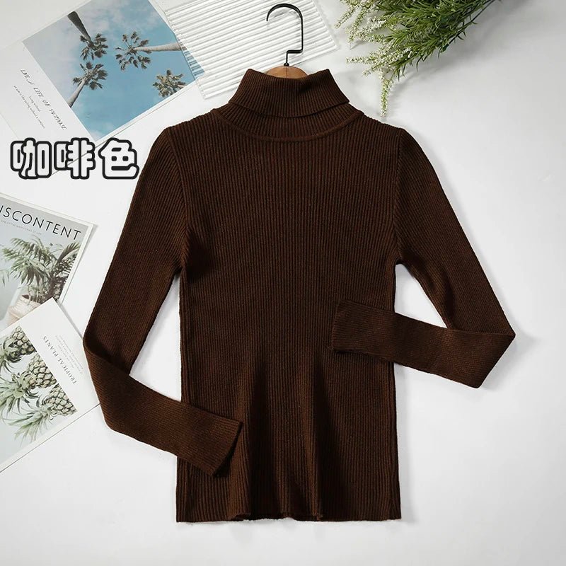 Simple turtleneck sweaterAzizaK