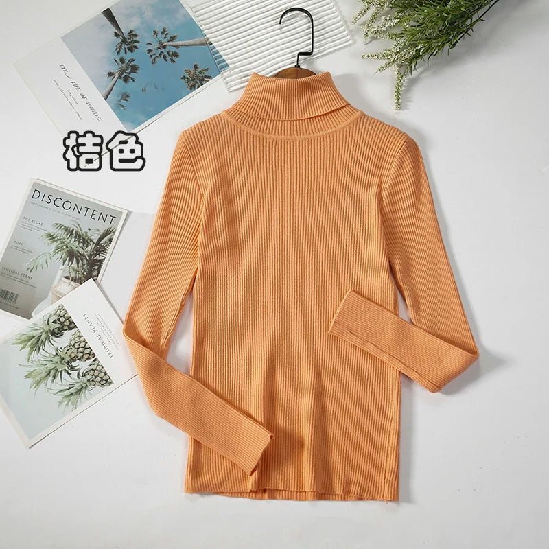 Simple turtleneck sweaterAzizaK