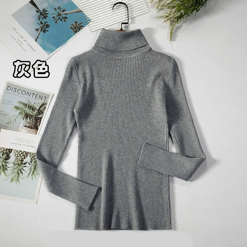 Simple turtleneck sweaterAzizaK