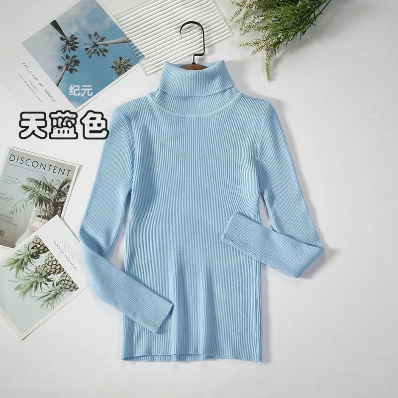 Simple turtleneck sweaterAzizaK