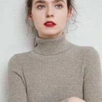 Simple turtleneck sweaterAzizaK
