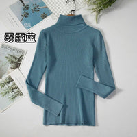 Simple turtleneck sweaterAzizaK