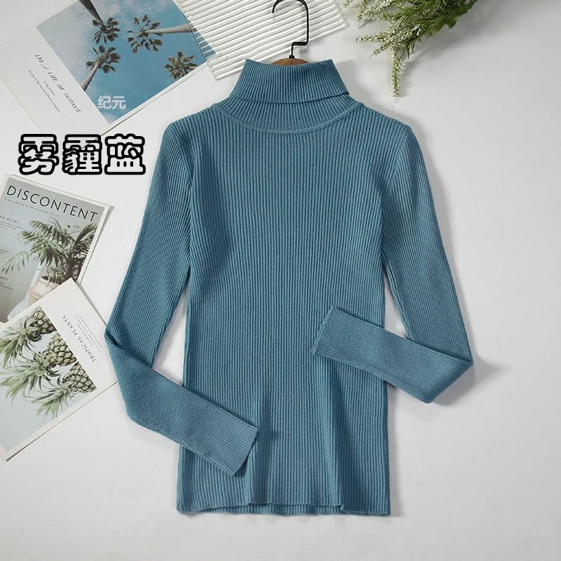 Simple turtleneck sweaterAzizaK