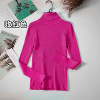 Simple turtleneck sweaterAzizaK