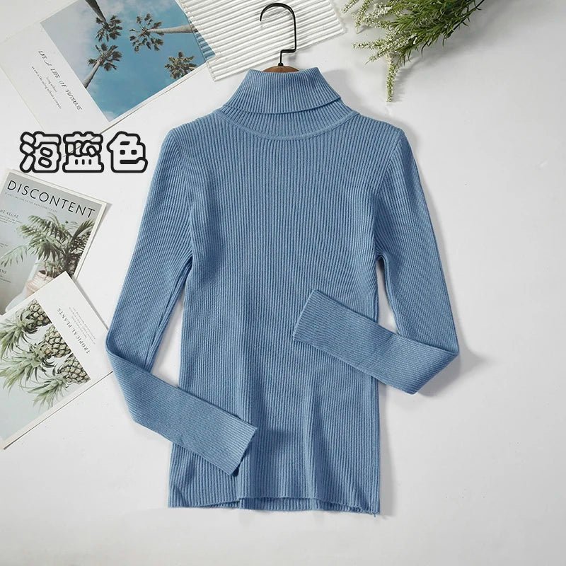Simple turtleneck sweaterAzizaK
