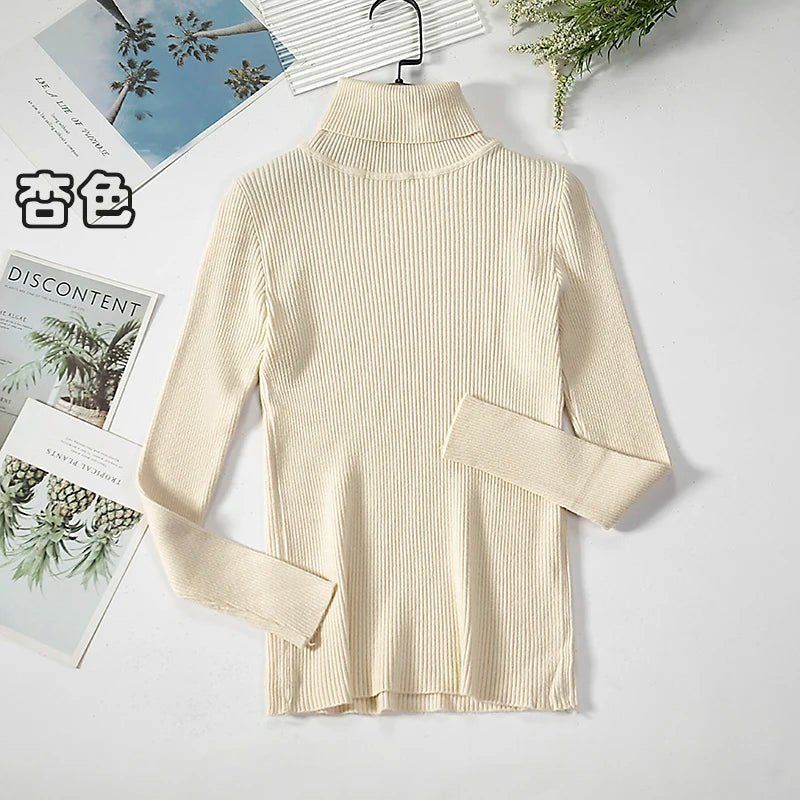 Simple turtleneck sweaterAzizaK