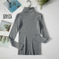 Simple turtleneck sweaterAzizaK
