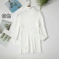 Simple turtleneck sweaterAzizaK