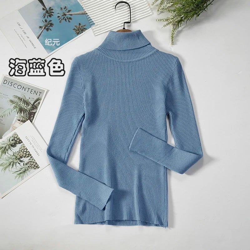 Simple turtleneck sweaterAzizaK