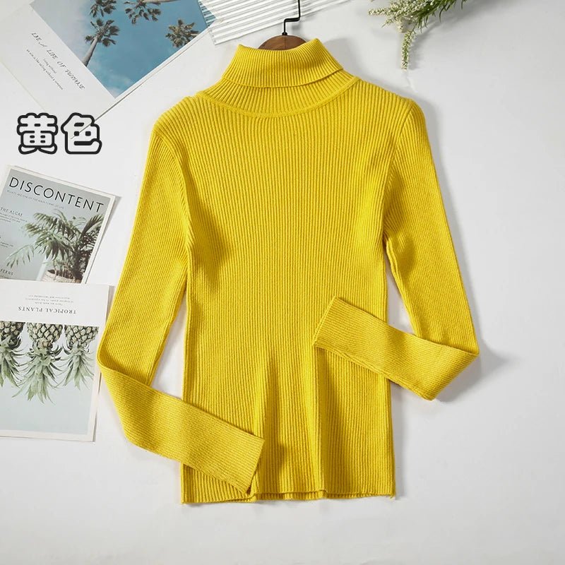 Simple turtleneck sweaterAzizaK