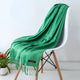 Solid Cashmere ScarfAzizaK