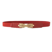 Thin elastic beltAzizaK