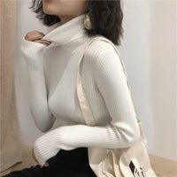 Turtleneck sweaterAzizaK