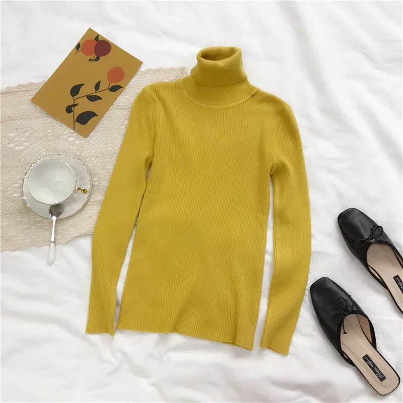 Turtleneck sweaterAzizaK