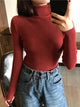 Turtleneck sweaterAzizaK