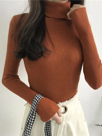 Turtleneck sweaterAzizaK