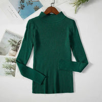 Turtleneck sweaterAzizaK