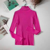 Turtleneck sweaterAzizaK