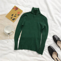 Turtleneck sweaterAzizaK