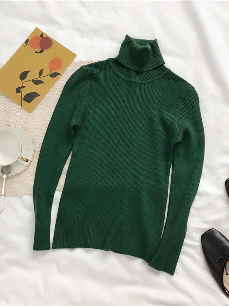 Turtleneck sweaterAzizaK
