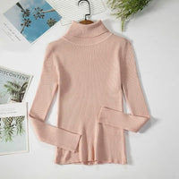 Turtleneck sweaterAzizaK